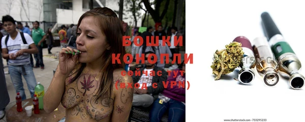 ГАЛЛЮЦИНОГЕННЫЕ ГРИБЫ Новозыбков