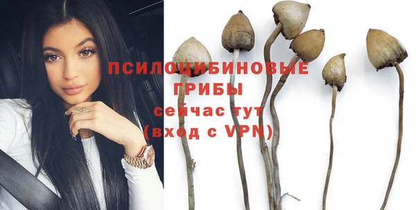 ГАЛЛЮЦИНОГЕННЫЕ ГРИБЫ Новозыбков