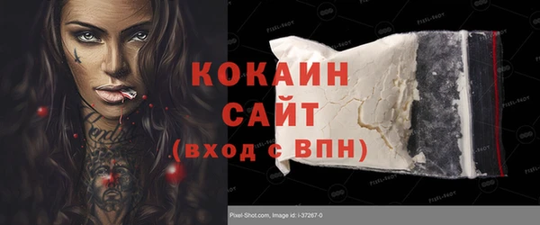 ГАЛЛЮЦИНОГЕННЫЕ ГРИБЫ Новозыбков