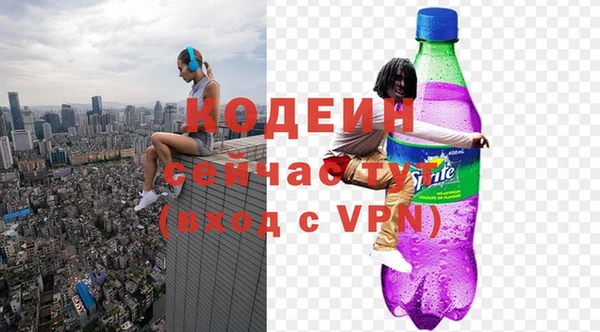 ГАЛЛЮЦИНОГЕННЫЕ ГРИБЫ Новозыбков