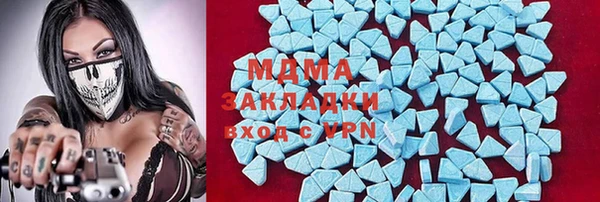 шишки Болотное