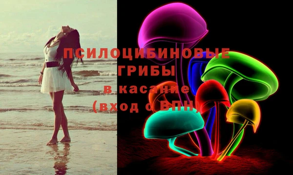 соль ск Новокубанск