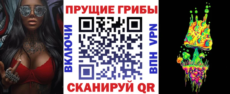 Псилоцибиновые грибы Psilocybe Тюмень