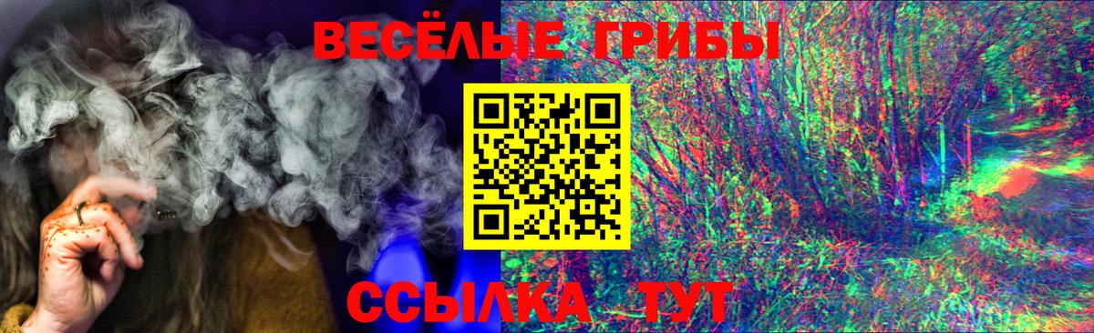 Псилоцибиновые грибы GOLDEN TEACHER Тюмень